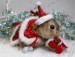 Cute-Christmas-Animal-Bunny-Santa-Hat-Suit