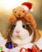 christmas_animals_640_03